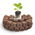 SIETAMIS 50 Pack Grow Sponges Square Sponge Replacement Part Seedling Starter Sponges for Hydroponic Indoor Garden System Cuttage Rooting Germination Kits