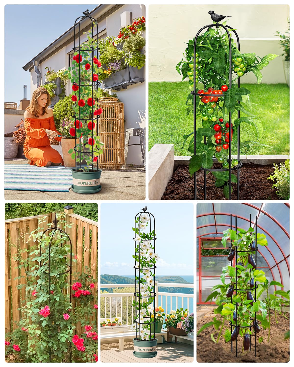 MYMULIKE 6.2ft Garden Trellis for Climbing Plants, Indoor Plant Trellis, Plant Support for Vegetables and Climbing Plants, Tomato Cage for Pots and Raised Garden Bed (1 Pack)