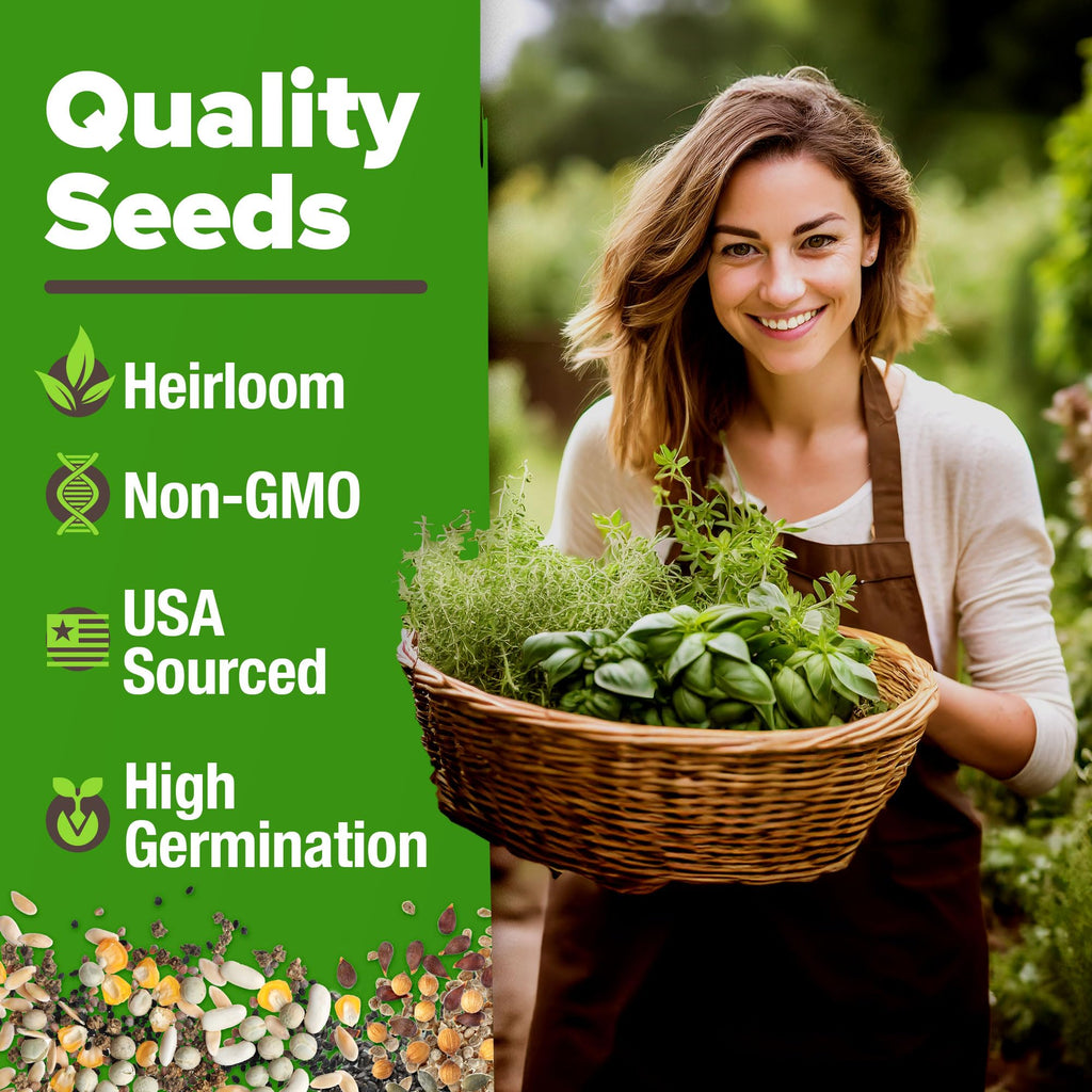 10 Culinary Herb Seed Vault - Heirloom and Non GMO - 3000+ Seeds for Planting for Outdoor or Indoor Herb Garden, Basil, Cilantro, Parsley, Chives, Thyme, Oregano, Dill, Marjoram, Mint, Tarragon