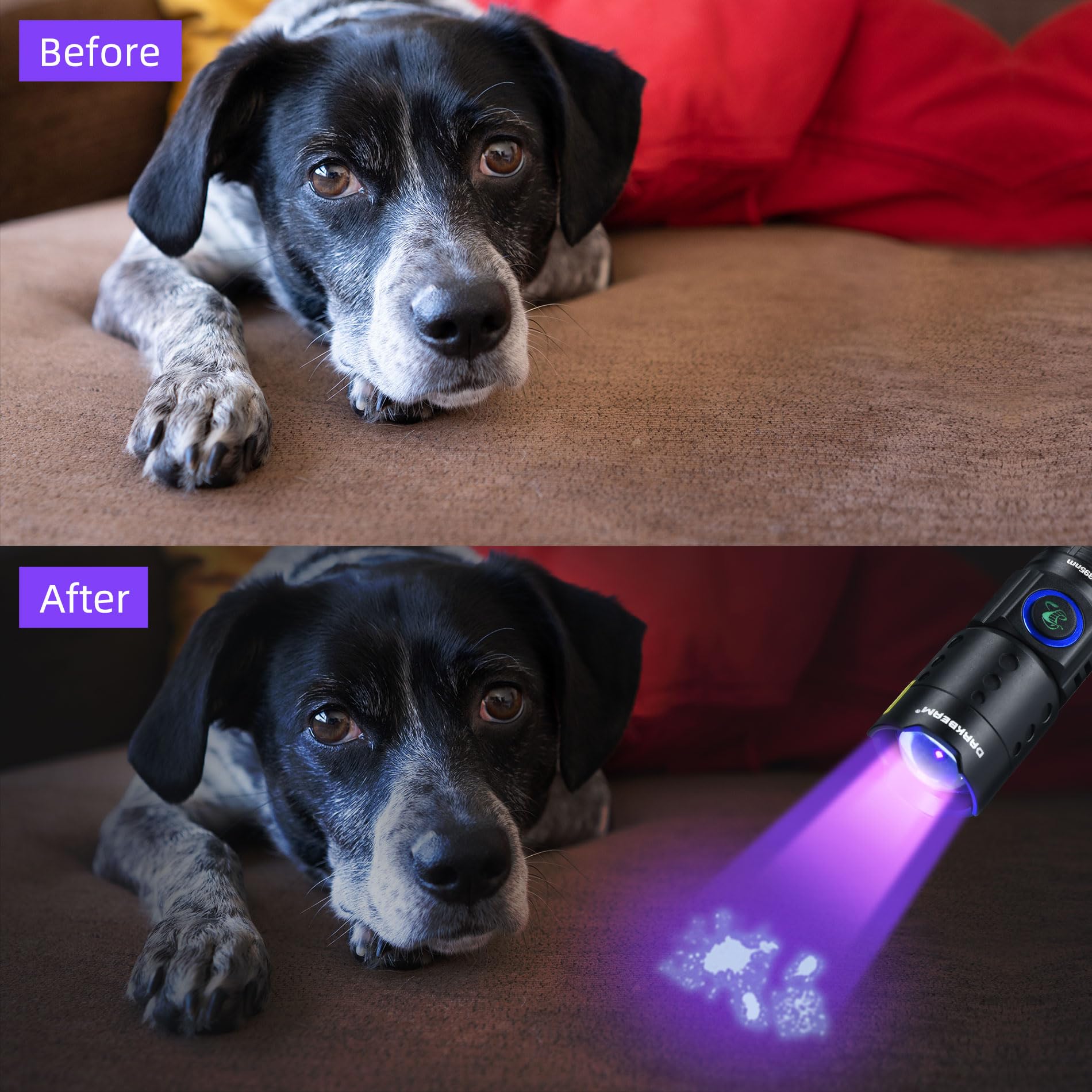 DARKBEAM 395NM UV LED Blacklight Lamp, Ultraviolet Lamps, Wood Lamp, Rechargeable USB-C Swivelling, Water Resistant for Detecting Scorpions and UV Resin Light