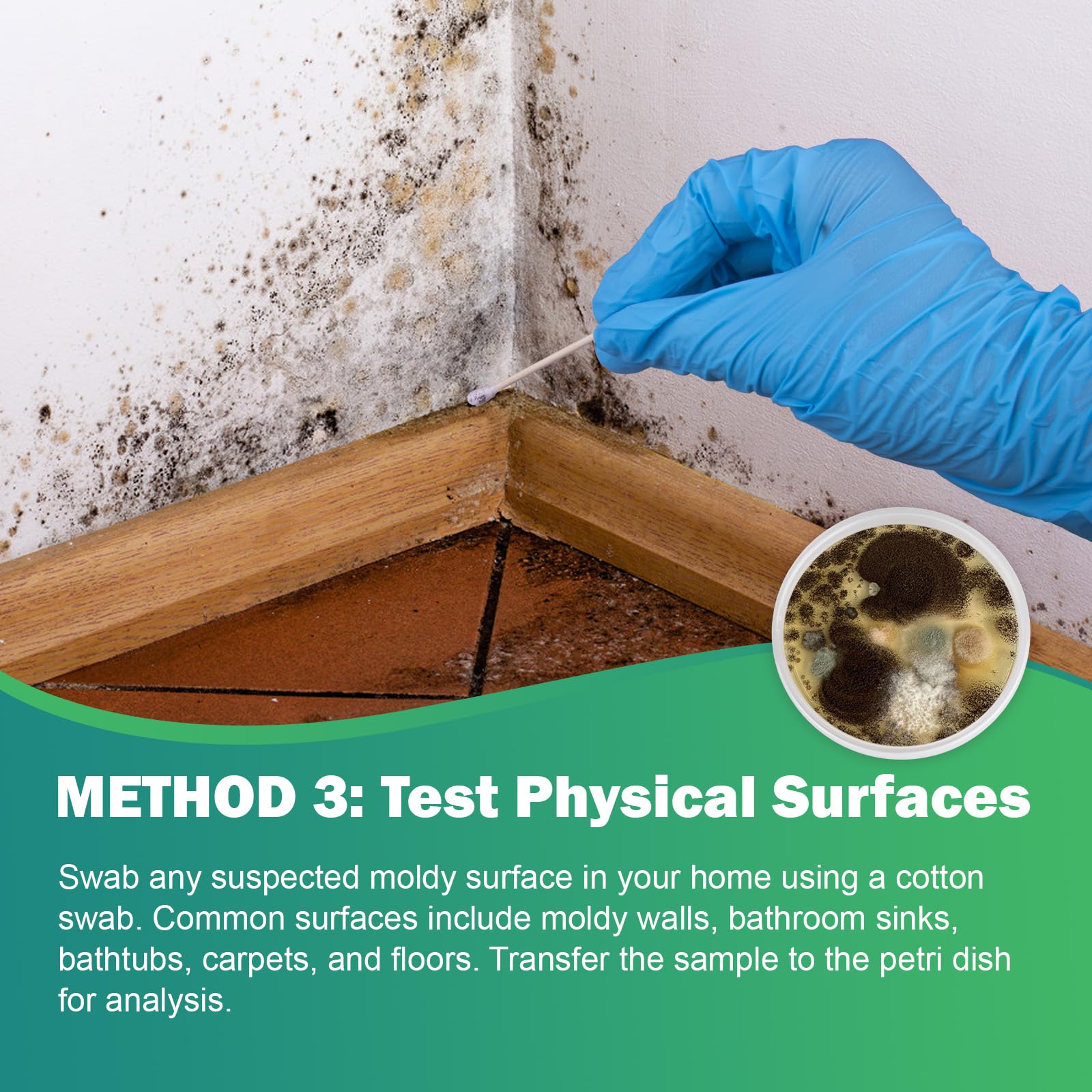 Carethetic Mold Test Kit for Home - 6 DIY Tests Included for Air, Surface & HVAC, Lab Analysis & Expert Consultation