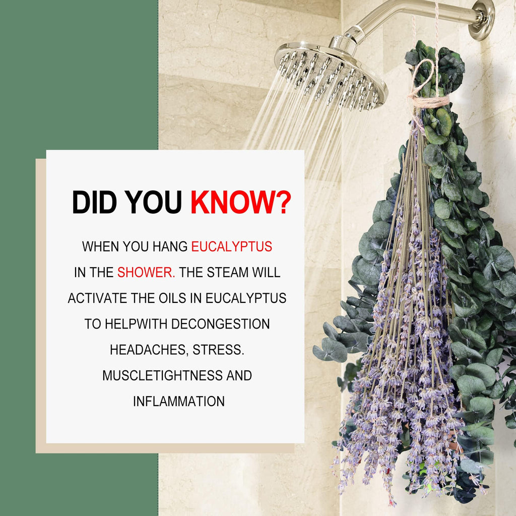 115 Pcs Dried Preserved Eucalyptus Stems & Lavender Flowers Bundles for Shower, 17'' Natural Real Live Eucalyptus Leaves Greenery Hanging Lavender Shower Plant, Fragrance, Decor