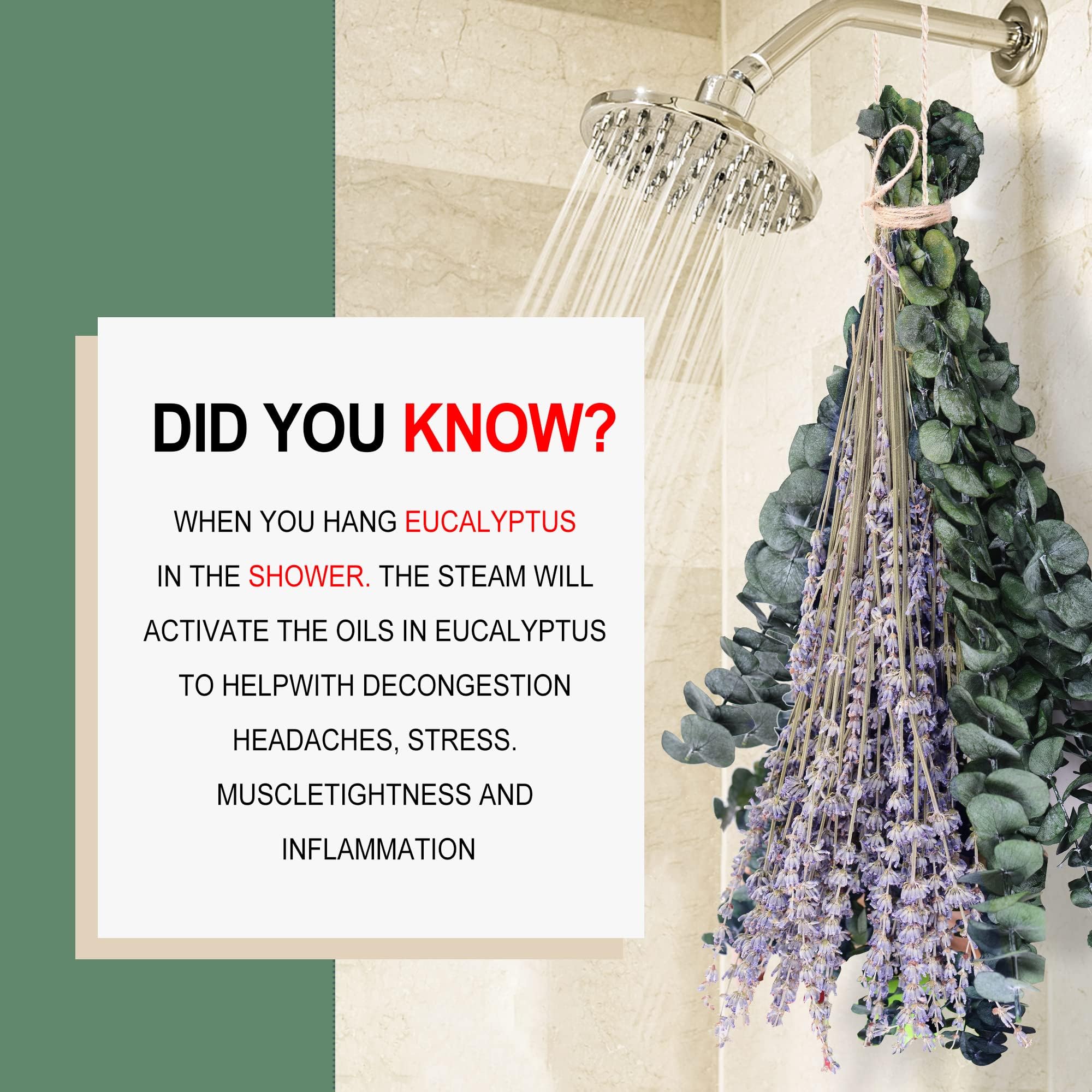 115 Pcs Dried Preserved Eucalyptus Stems & Lavender Flowers Bundles for Shower, 17'' Natural Real Live Eucalyptus Leaves Greenery Hanging Lavender Shower Plant, Fragrance, Decor