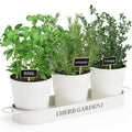 PERFNIQUE Indoor/Outdoor Herb Garden Planter, Farmhouse Plant Pots, Windowsill Garden With Tray, Window Pots for Indoor Plants (Off White)