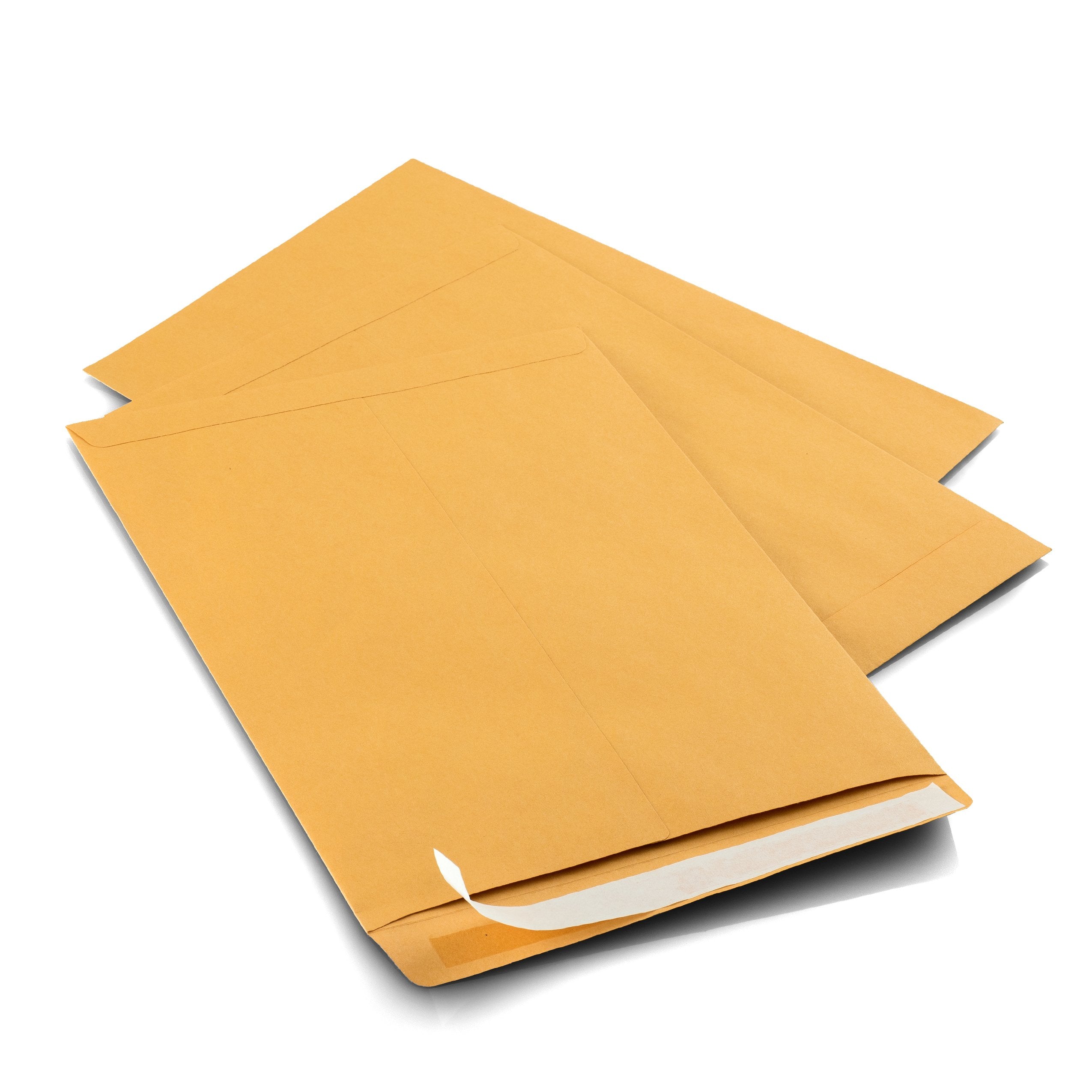 9 X 12 Self-Seal Brown Kraft Catalog Envelopes - 28lb - 100 Count (38300)