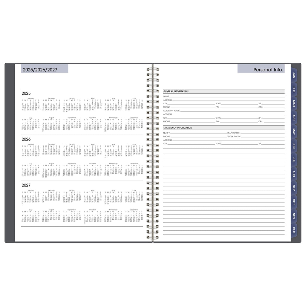 AT-A-GLANCE 2026 Appointment Book Planner, Weekly & Monthly, 8-1/2" x 11", Large, Quarter-Hourly, DayMinder, Gray (GC5200726)