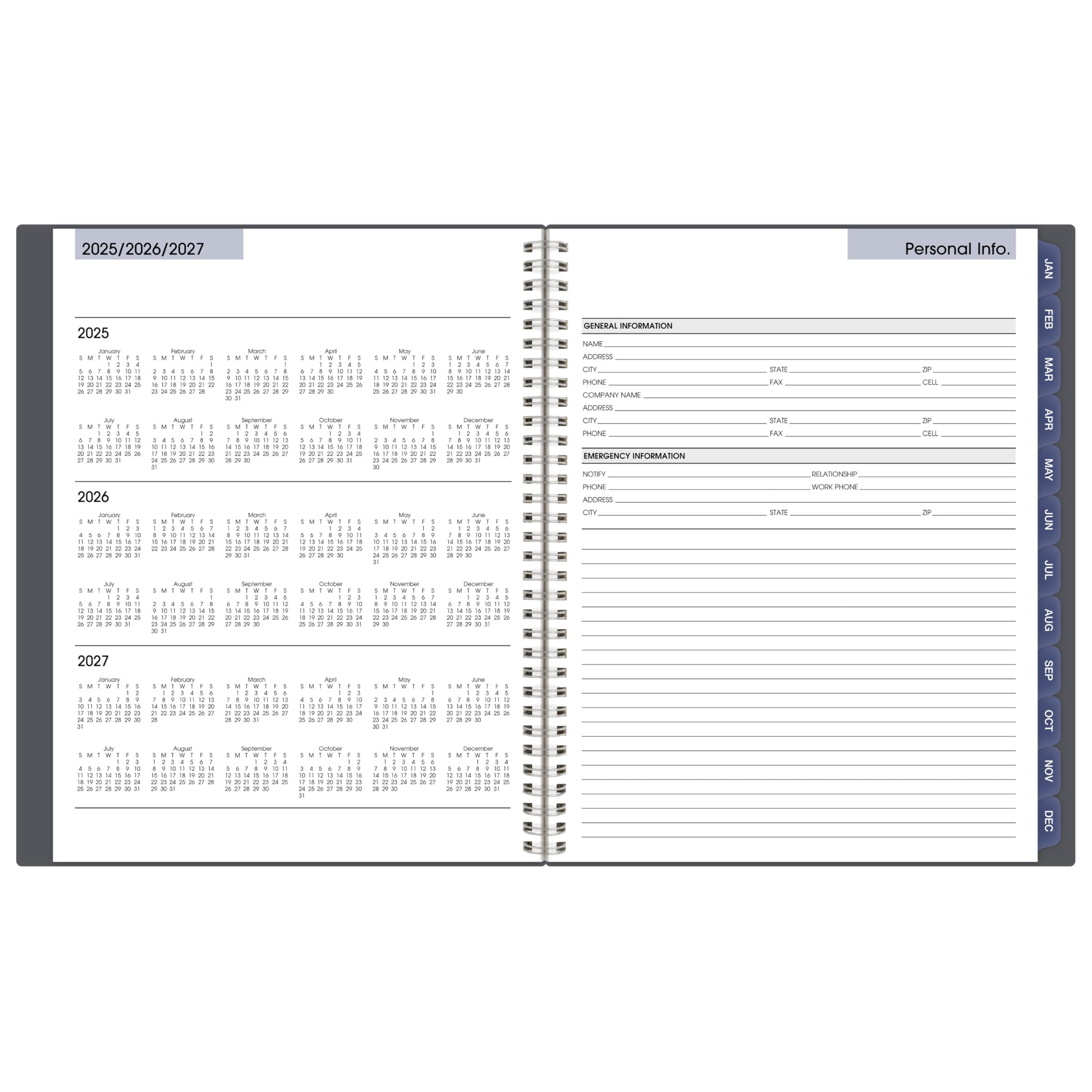 AT-A-GLANCE 2026 Appointment Book Planner, Weekly & Monthly, 8-1/2" x 11", Large, Quarter-Hourly, DayMinder, Gray (GC5200726)