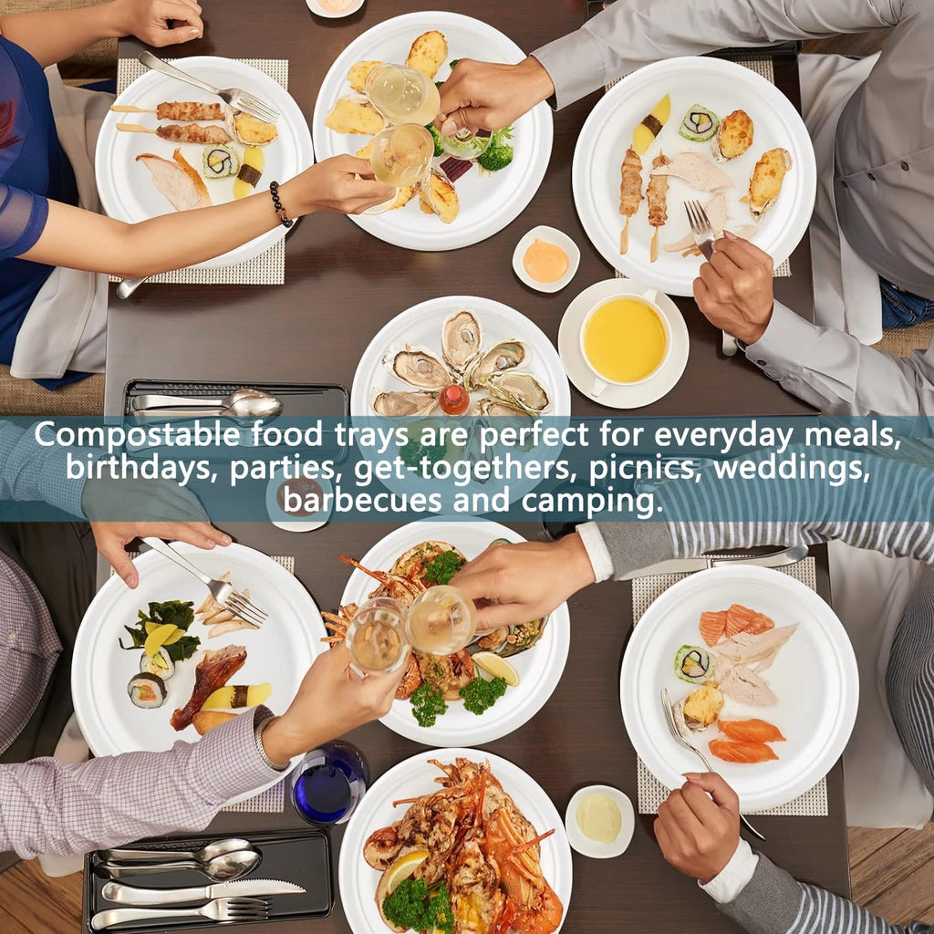 Miecux Paper Plates, Compostable Paper Plates[100-Pack] 9 Inch Plates - Eco-Friendly, Biodegradable Sugarcane Bagasse, Heavy Duty Paper Plates, White Paper Plates for Party