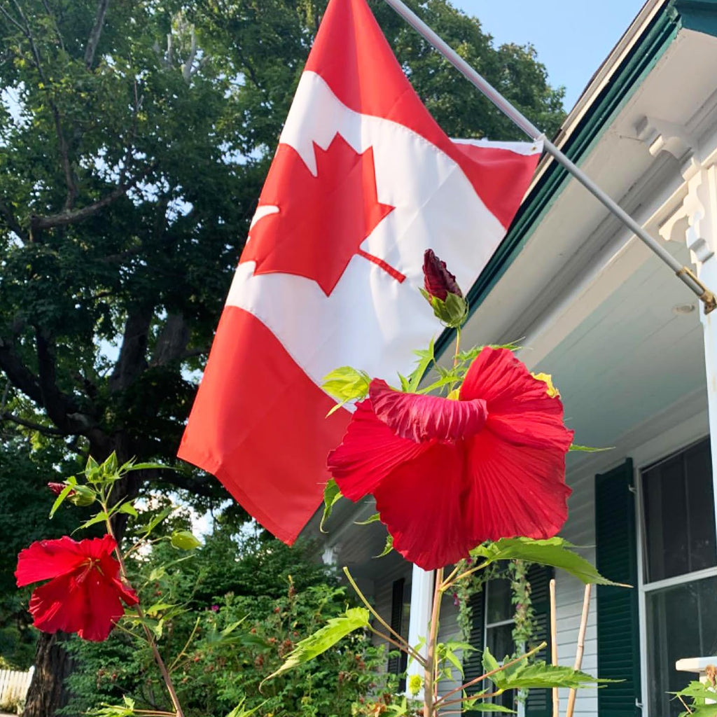 FLAGWIN Canada Flag 3x5 FT, Canadian Flags Heavy Duty Polyester Embroidered Maple Leaf with Brass Grommets, Vivid Color and Fade Resistant Canada Banner Flag for Indoor/Outdoor