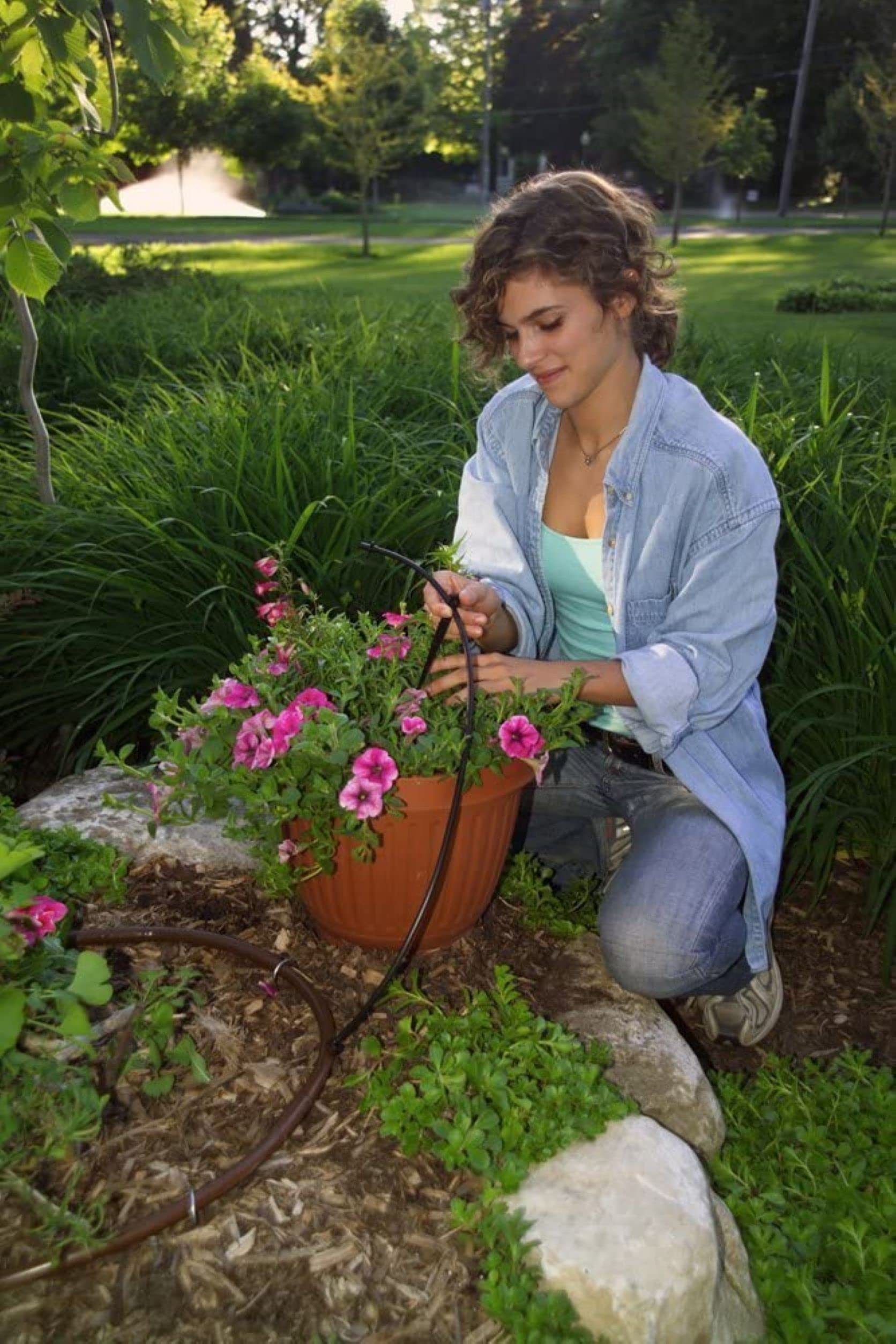 Rain Bird SW10-30PS Drip Irrigation Spot Watering Dripper/Emitter, 1 Gallon Per Hour, 30-Pack