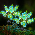 Ninonly Solar Garden Lights, 2 Pack Solar Violet Flowers Lights Outdoor, 600mAh Waterproof Solar Powered Pathway Lights for Patio Yard Landscape Decoration