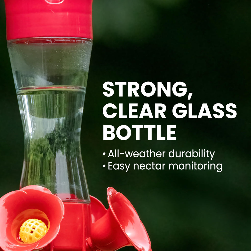 Perky-Pet 203CPBN-2 Pinch Waist Glass Hummingbird Feeder - 2 Hummingbird Feeders