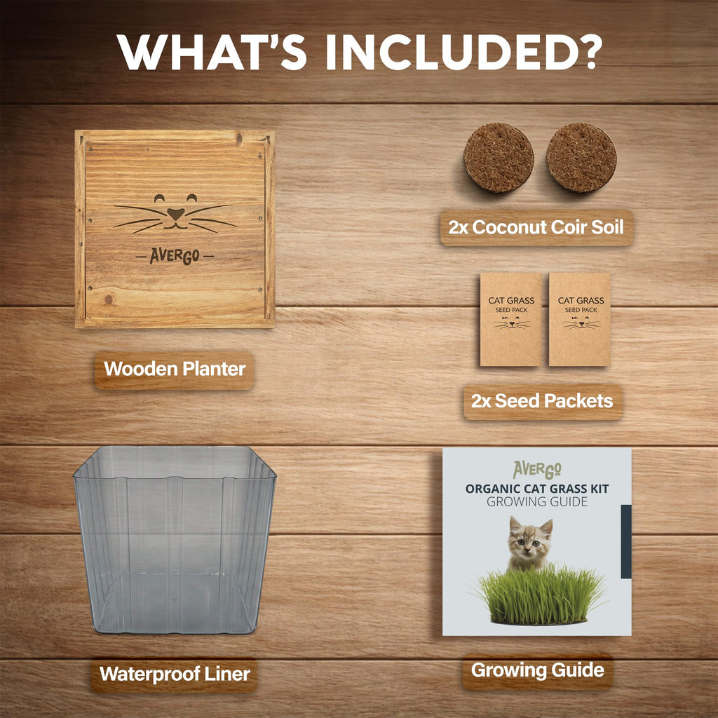 Cat Grass Kit for Indoor Cats – x2 Seed Packets | Cat Grass Seeds with Wooden Planter & Soil – Pet Wheatgrass Grass