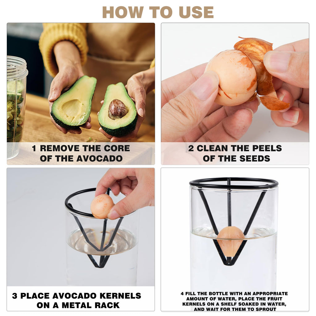Bylion Avocado Tree Growing Kit - Seed Starter Vase With Wooden Base, Glass Plant Pot for Easy Sprout - Gift for Women, Gardening Lovers, Home Office Table Decoration
