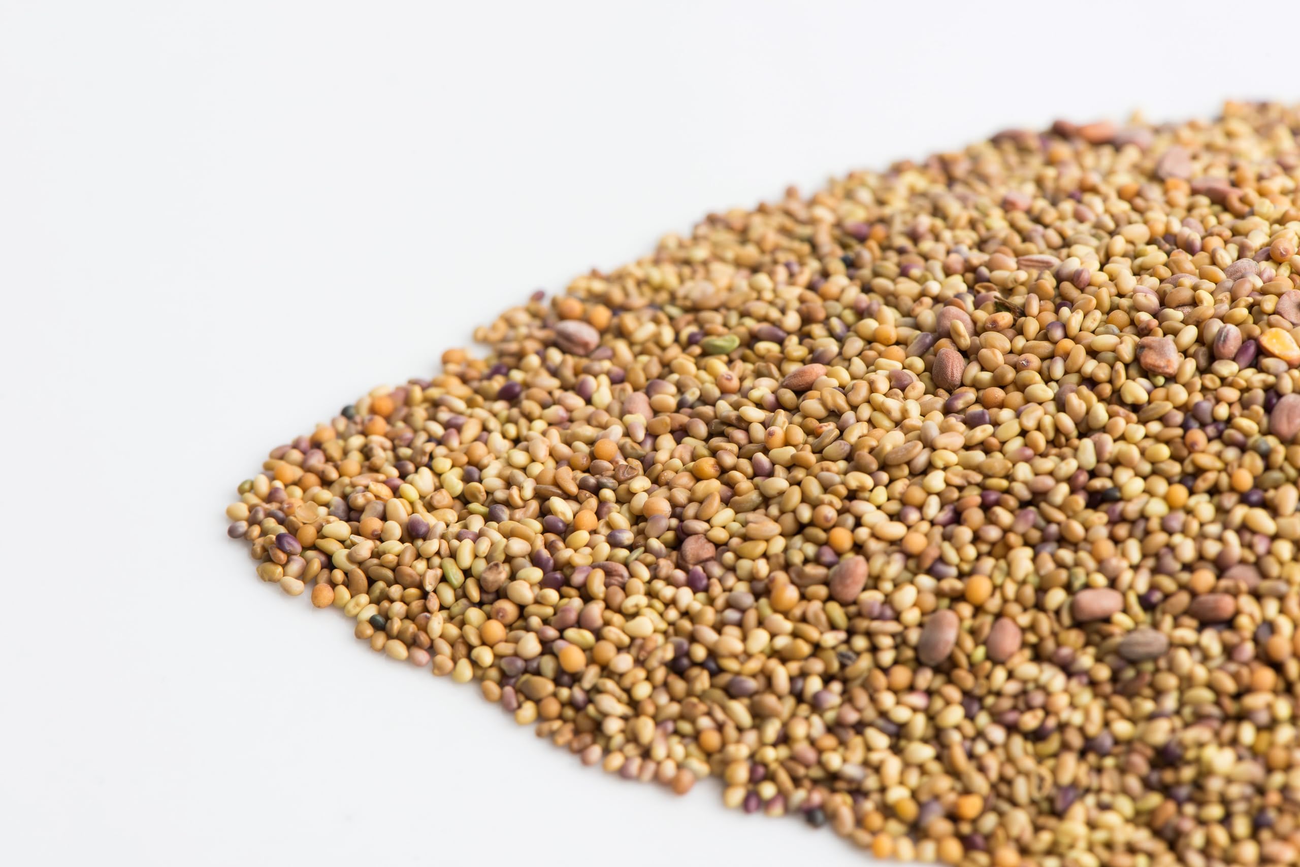 Sandwich Booster Sprouting Seeds, Mumm's | Large Size: 250 Grams | Certified Organic & Non-GMO | Blend of Clover, Alfalfa, Radish & Mustard | High Germination | Wholesome, Delicious & Nutritious