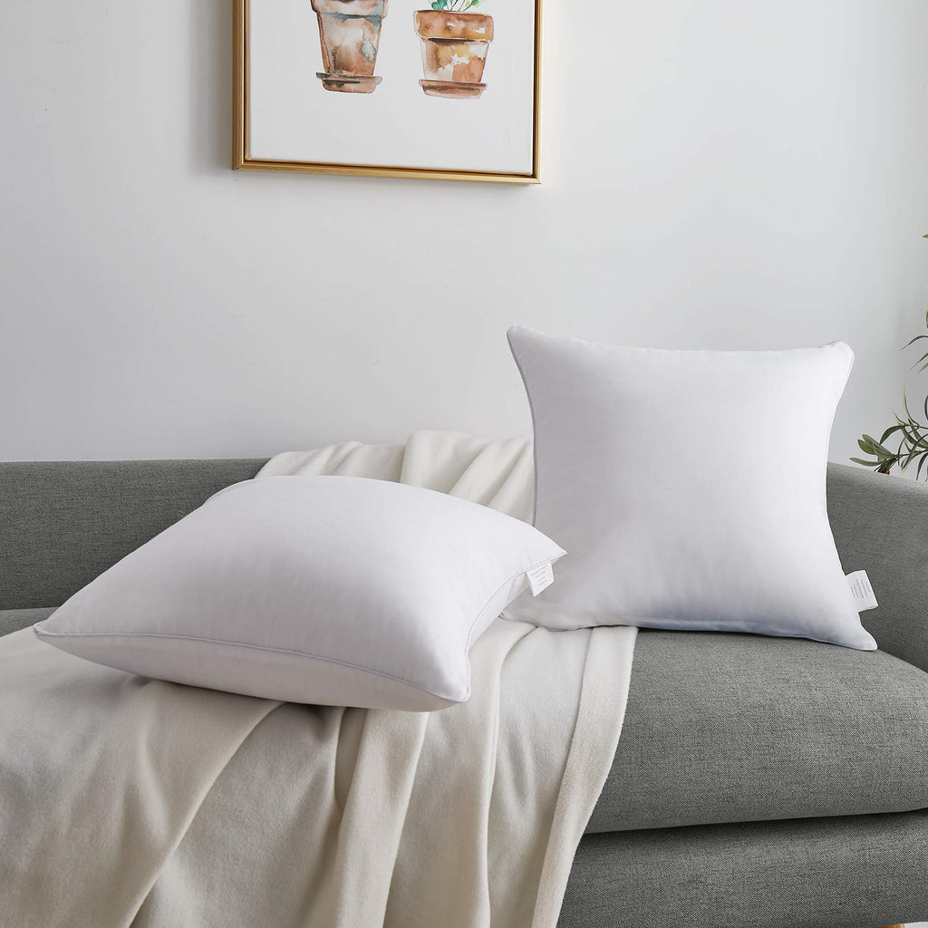 Oubonun 20 x 20 Pillow Inserts (Set of 2) - Throw Pillow Inserts with 100% Cotton Cover - 20 Inch Square Interior Sofa Pillow Inserts - Decorative Pillow Insert Pair - White Couch Pillow