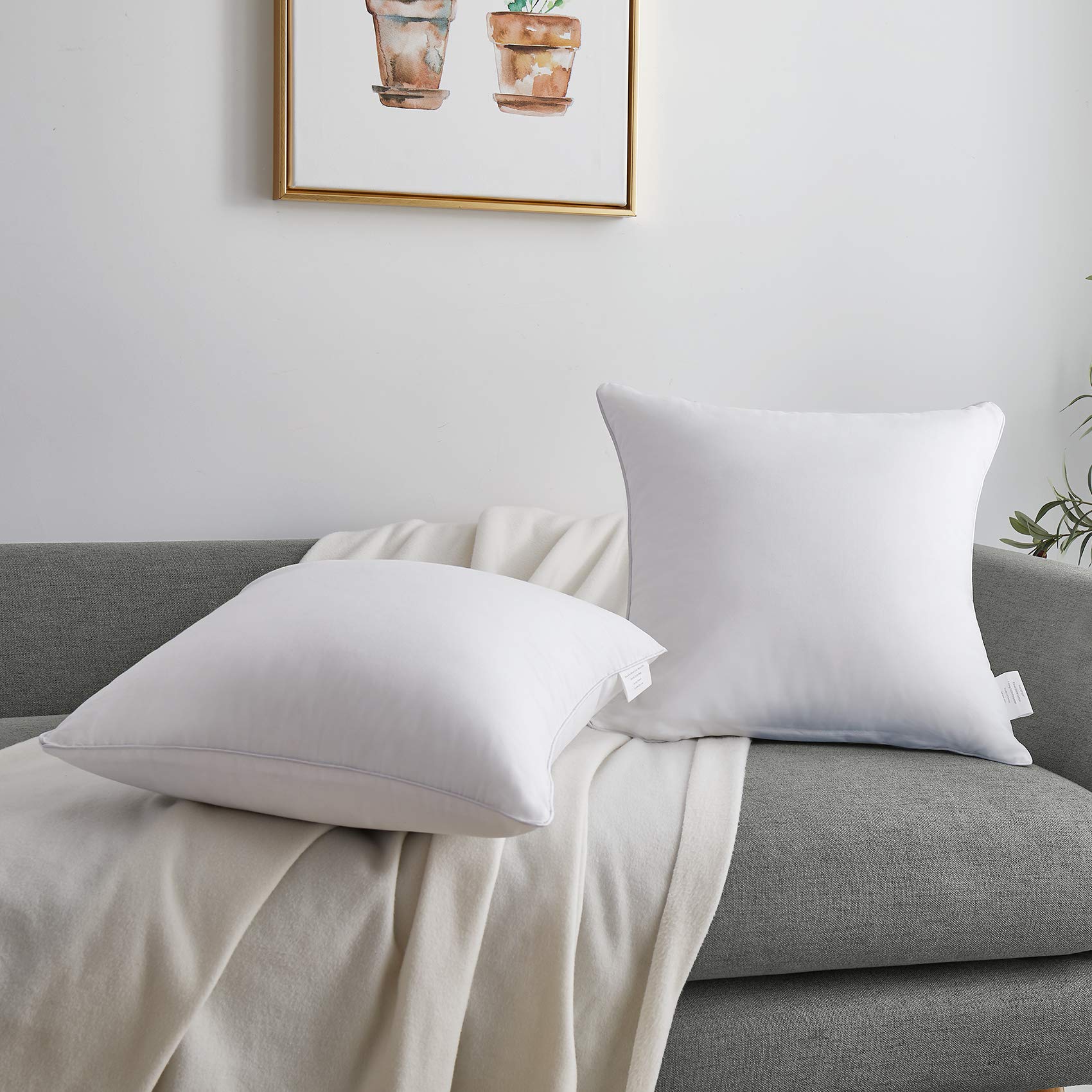 Oubonun 20 x 20 Pillow Inserts (Set of 2) - Throw Pillow Inserts with 100% Cotton Cover - 20 Inch Square Interior Sofa Pillow Inserts - Decorative Pillow Insert Pair - White Couch Pillow