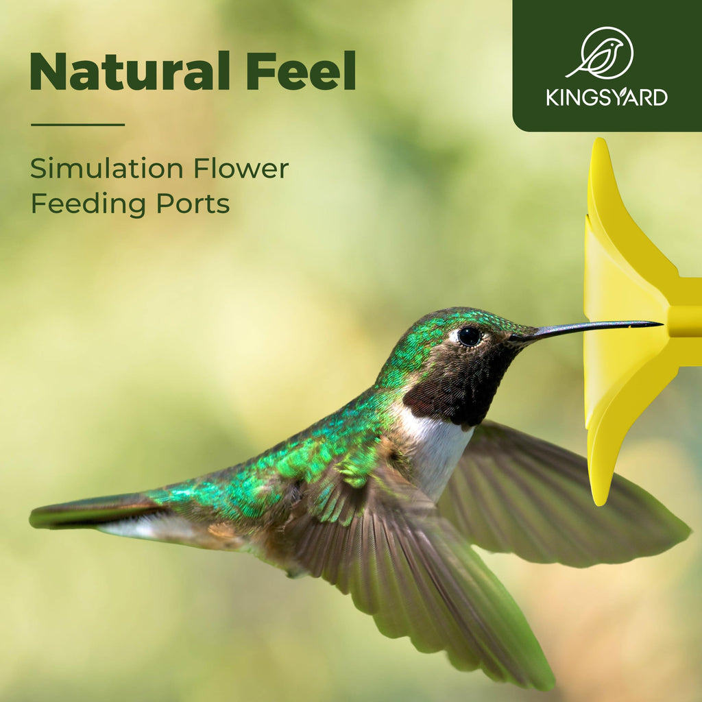 Kingsyard Glass Hummingbird Feeder 6 Feeding Ports, Hanging Bird Nectar Feeder 16 Ounces, Rustproof, Leakproof, Garden Backyard Decor, Ant Moat Included, Deep Red