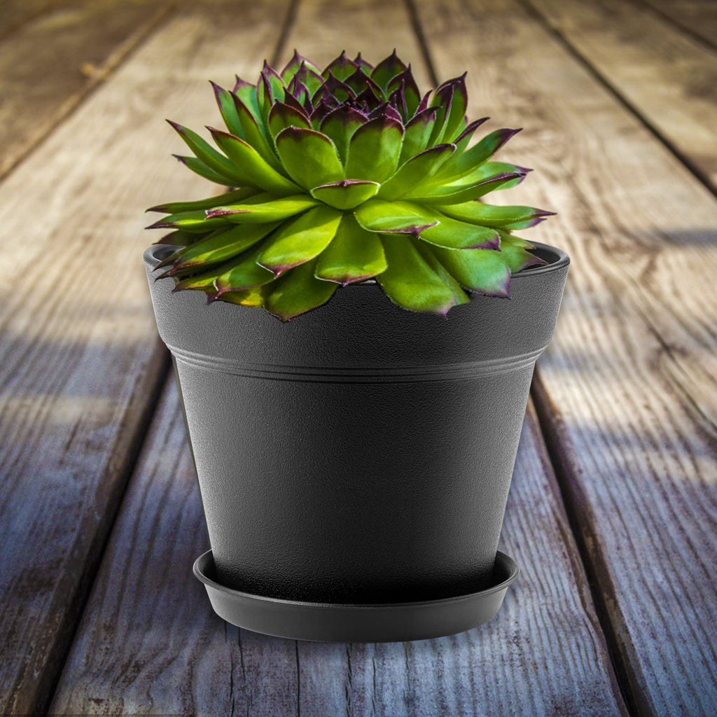 FHWTY 4 inch Plastic Plant Pots with Drainage Holes and Tray, 16 Pack Thickened Indoor Planters Seedlings Nursery Pots for Flowers, African Violet, Succulent and All House Plants, Black
