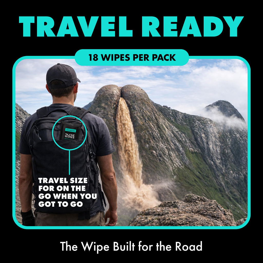 DUDE Wipes - Flushable Wipes Travel Pack - 6 Pack, 108 Wipes - Mint Chill Extra-Large Adult Wet Wipes - Vitamin-E, Aloe Vera, Eucalyptus, and Tea Tree Oils - Septic and Sewer Safe Butt Wipes