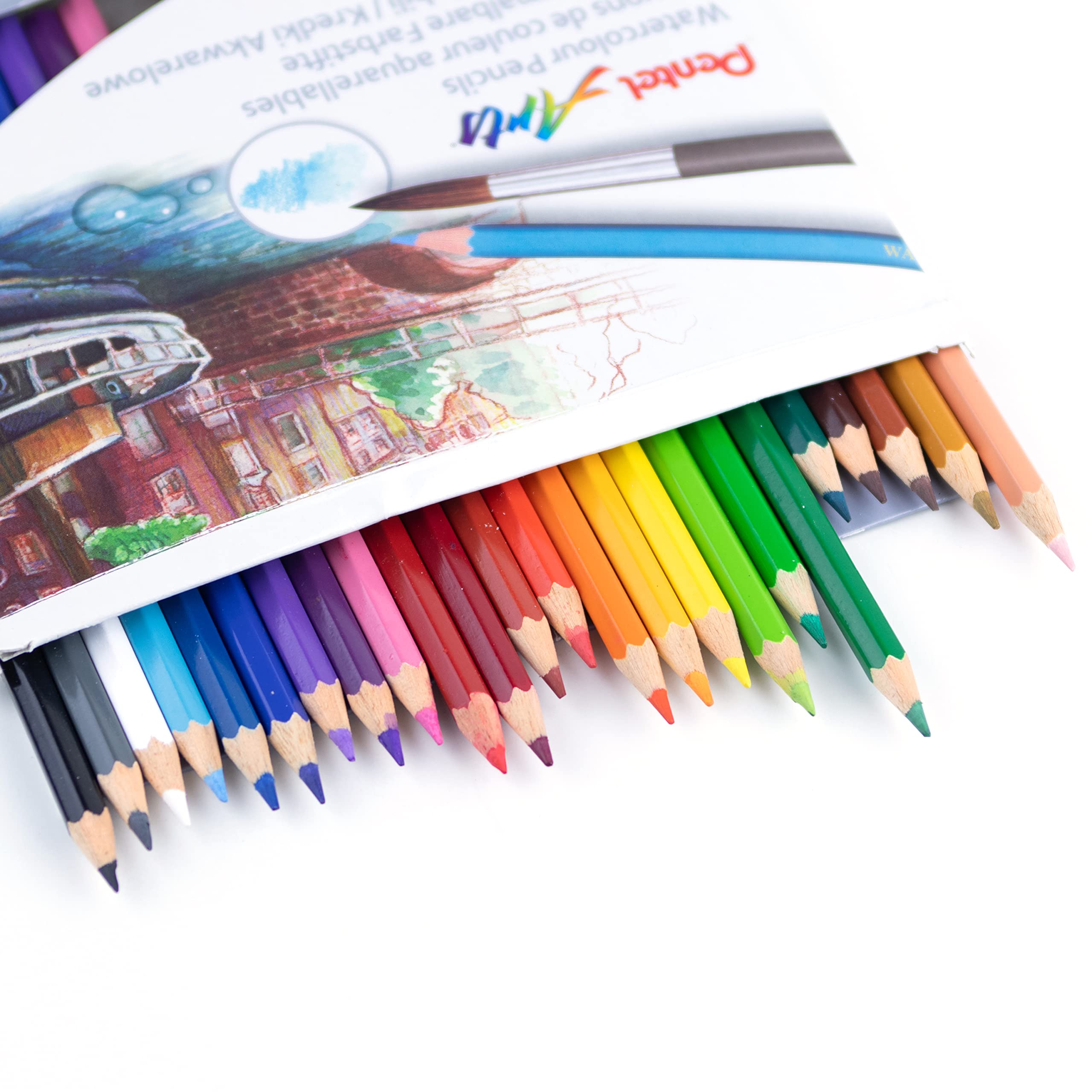 Pentel Arts Watercolour Pencils, Non-Toxic Assorted Colour Set, Artist Quality for Professional works or Art Therapy or Adult Colouring, CB9-24, Set of 24