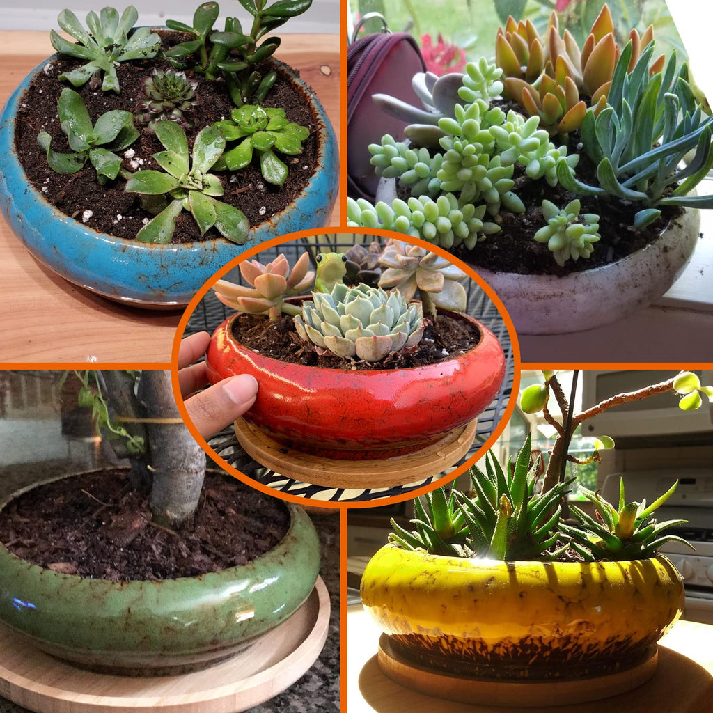 Succulent Pot - 7.3 Inch Succulent Planter with Drainage Hole Shallow Bonsai Pot with Tray, Large Ceramic Flower Pot Garden Decorative Cactus Plant Container Bowl