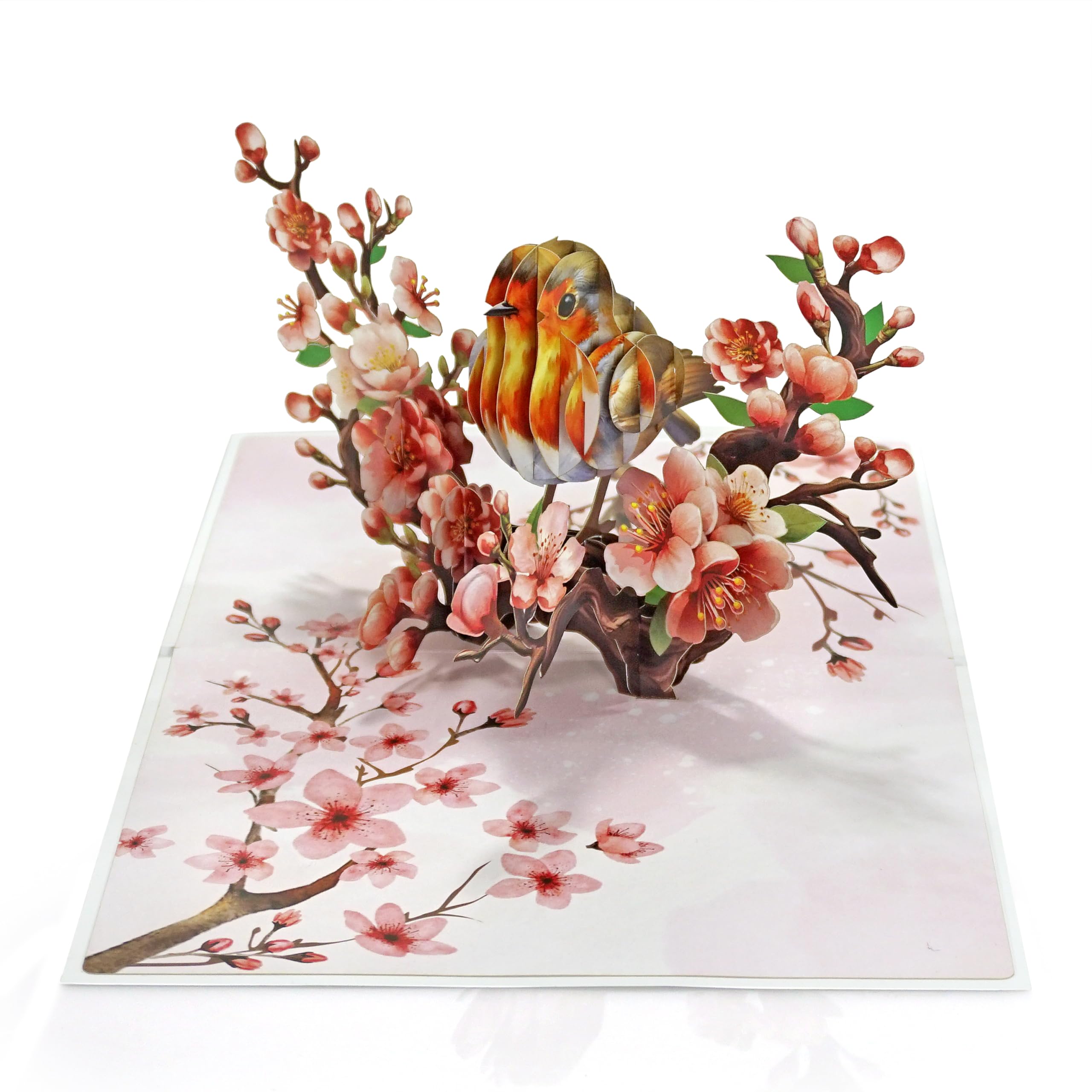 CUTPOPUP Mothers Day Pop Up Card for Mom, 3D Robin Bird Cherry Blossom Greeting Card, Birthday Card for Mom, Grandma, Wife, Floral Card for Women