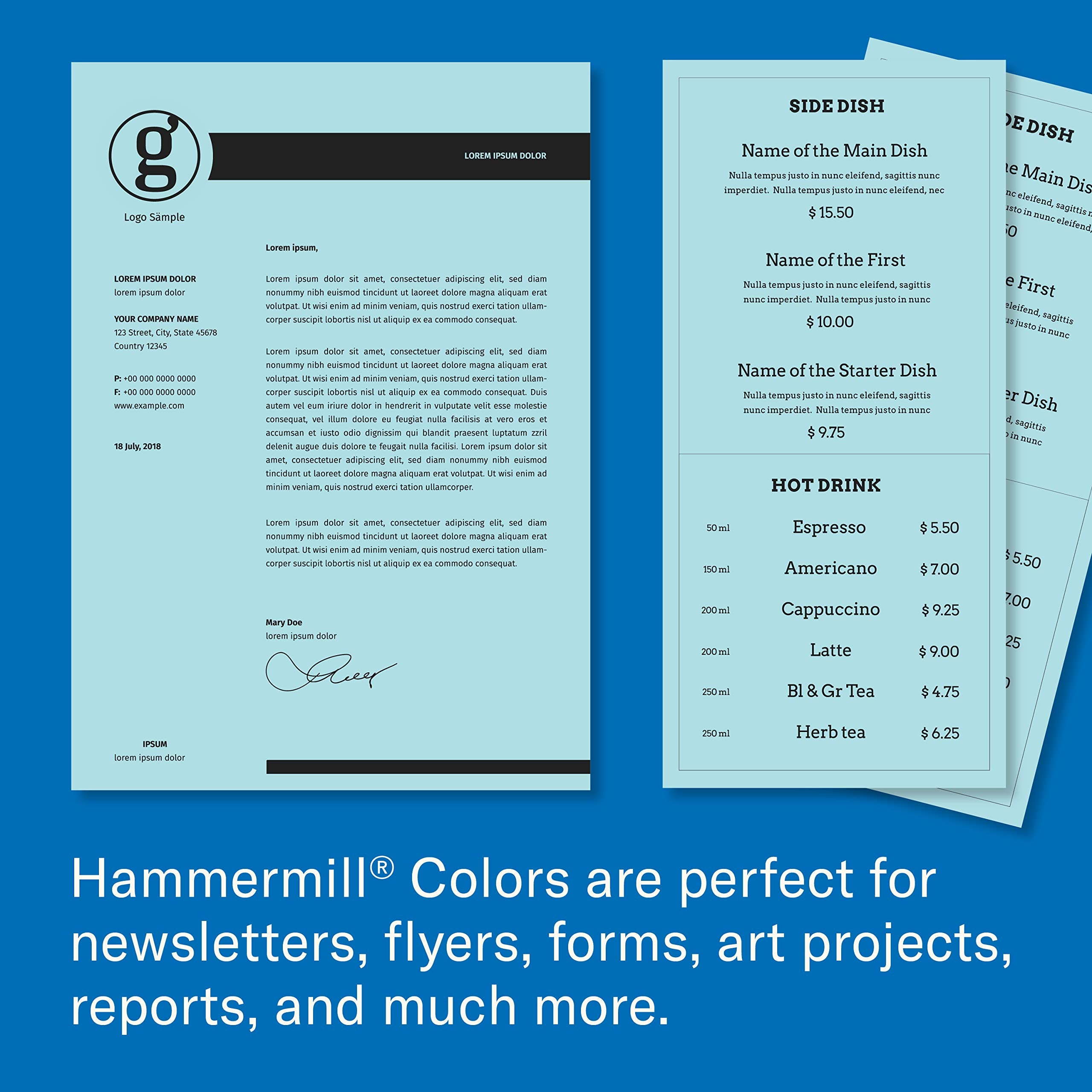 Hammermill Colored Paper, 20 lb Blue Printer Paper, 11 x 17 - 1 Ream (500 Sheets) - Made in the USA, Pastel Paper