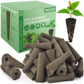 PACETAP Seed Starter Pods Growth Sponges Replacement with AeroGarden, Bulk Refill Grow Sponge for Hydroponic Indoor Garden System (50 Pcs)