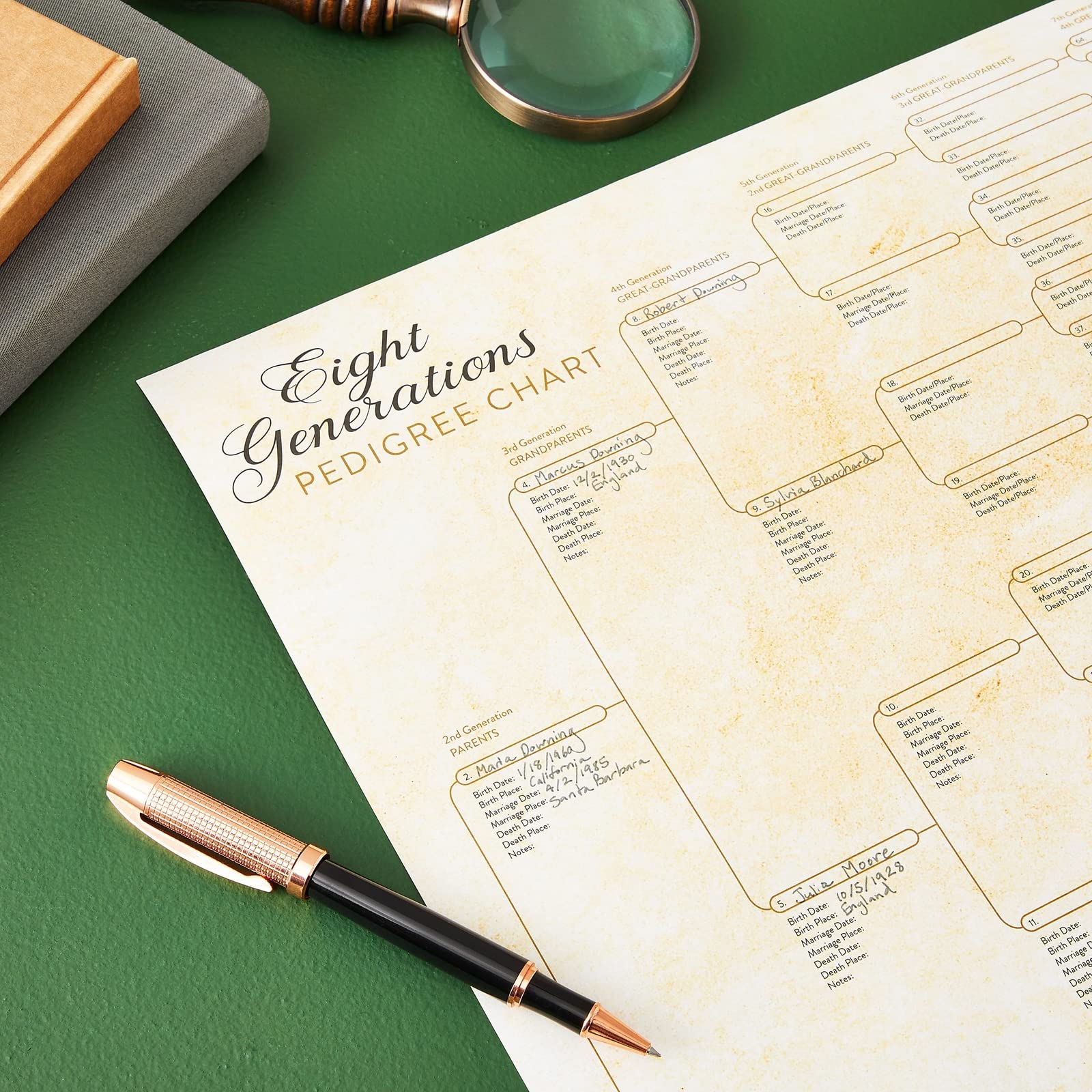 15-Pack Family Tree Charts to Fill In, Blank 8 Generation Genealogy Poster for Family History, Lineage, Reunions, Large Pedigree Chart, 255 Total Name Spaces (17x22 in)