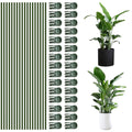 50Pcs Plant Stake Clip Set Green, Plant Sticks Supplies Support Tall, Useful Support Clips, Fine Workmanship Allow Bending Suitable for Various Pots Indoors and Outdoors