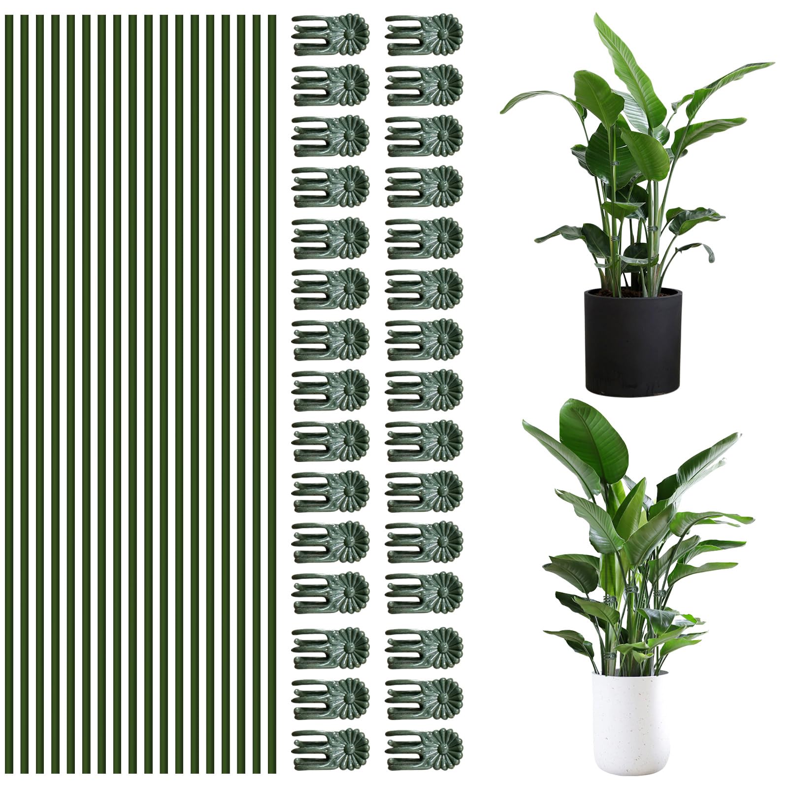 50Pcs Plant Stake Clip Set Green, Plant Sticks Supplies Support Tall, Useful Support Clips, Fine Workmanship Allow Bending Suitable for Various Pots Indoors and Outdoors