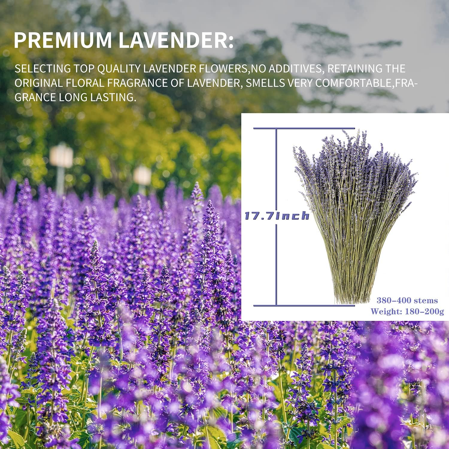 MIHUAGE Dried Lavender Flowers Bundles 100% Natural Real Dry Flower for Home Decorations,Home Fragrance 350+ Stems