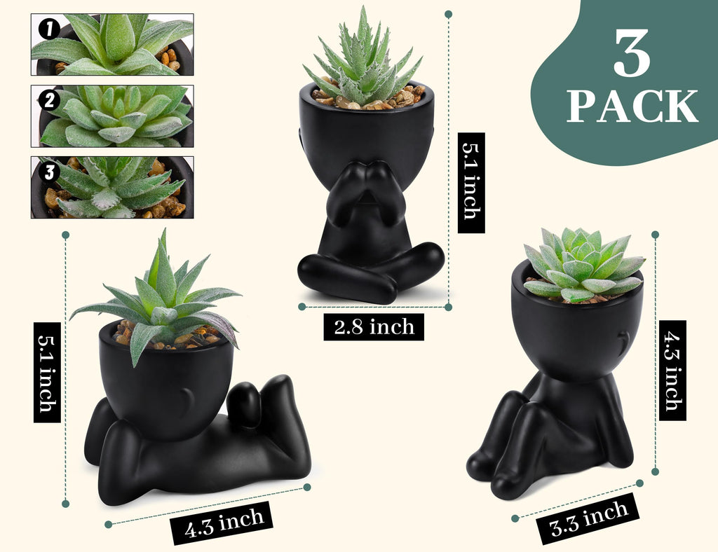 Der Rose 3Pcs Fake Plants Small Artificial Succulent, Cute Faux Plants for Home Bathroom Bedroom Living Room Office Desk Shelf Black Decor Indoor Aesthetic