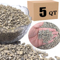 Horticultural Pumice for Plants Professional Sifted - for Succulents, Cactus, Bonsai Plants (1/4 inch, 4.5L)