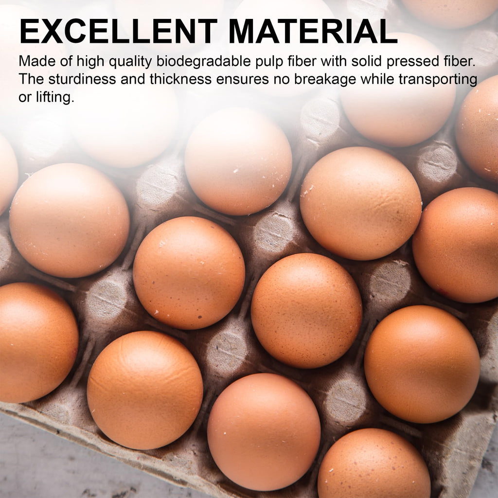 MT Products Egg Crate - (15 Pieces) for Storing up to 30 Large or Small Eggs - Pulp Fiber Egg Flat Cartons That Make a Great Home for Roach Colony - Made in the USA