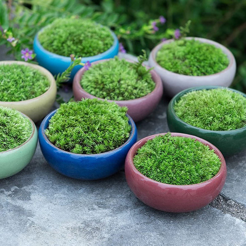 TOPZEA 16 Pack Mini Ceramic Succulent Planter Pot, 2.5 Inch Ice Crack Cactus Seed Starter Pots Micro Landscape Planter with Drainage Hole & Bamboo Tray for Moss Plant, Baby Succulent, Herb