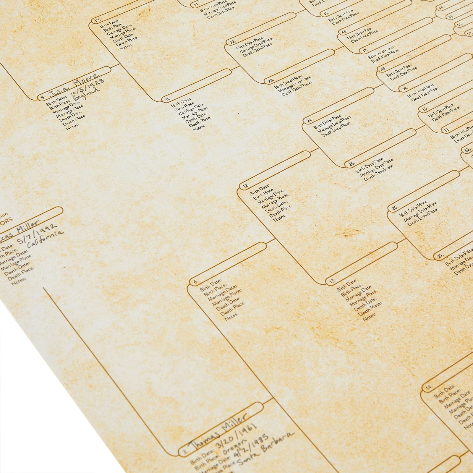 15-Pack Family Tree Charts to Fill In, Blank 8 Generation Genealogy Poster for Family History, Lineage, Reunions, Large Pedigree Chart, 255 Total Name Spaces (17x22 in)