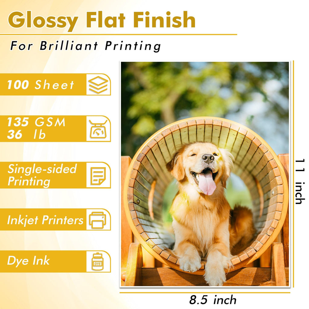 Koala Glossy Thin Inkjet Printer Paper for DIY Chip Bag and Print Brochure Flyer 8.5x11 Inches 100 Sheets 36LB for Inkjet Printers Use DYE Ink
