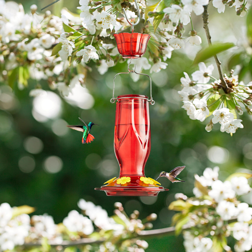 Kingsyard Glass Hummingbird Feeder 6 Feeding Ports, Hanging Bird Nectar Feeder 16 Ounces, Rustproof, Leakproof, Garden Backyard Decor, Ant Moat Included, Deep Red