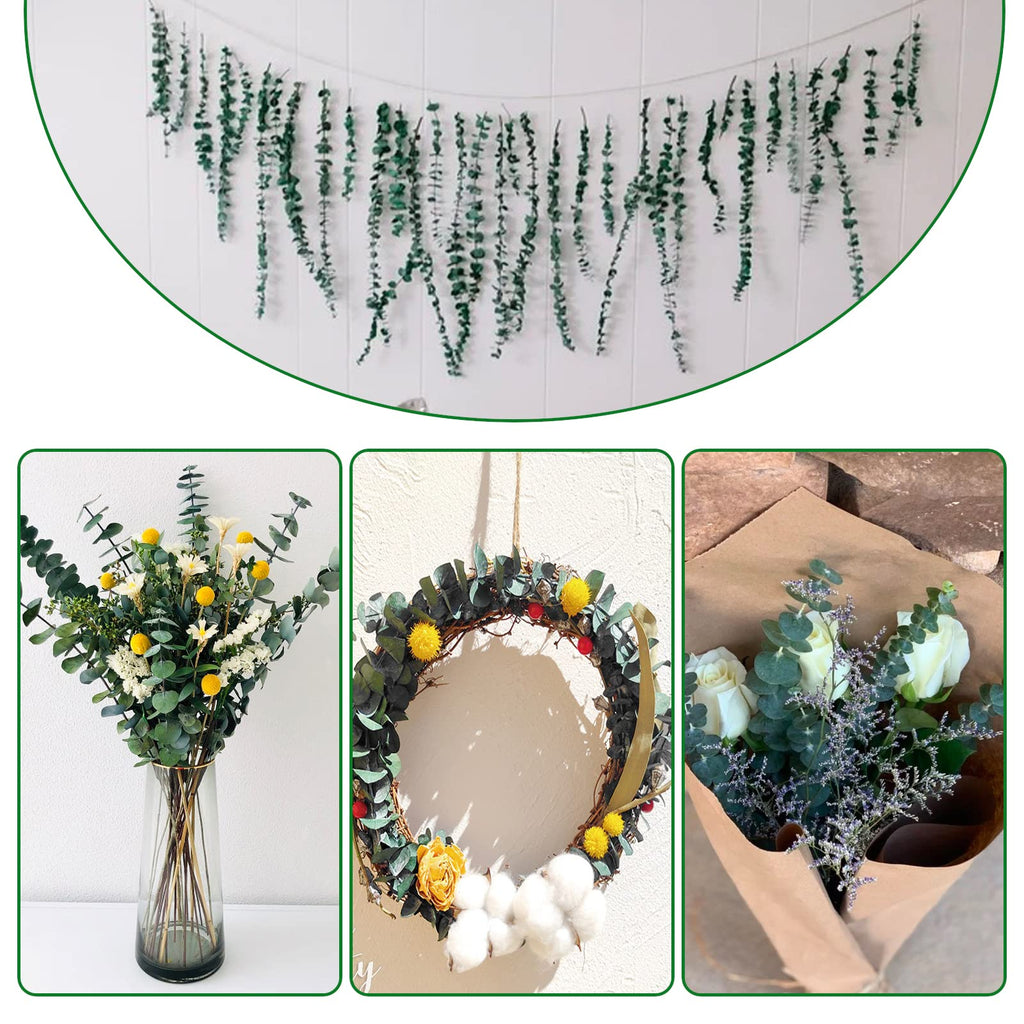 20 Pcs Preserved Dried Eucalyptus Stems, 17" Natural Fresh Eucalyptus Bundles for Shower, Real Plant for Vase Filler, Dried Flowers Arrangement, Home Decor