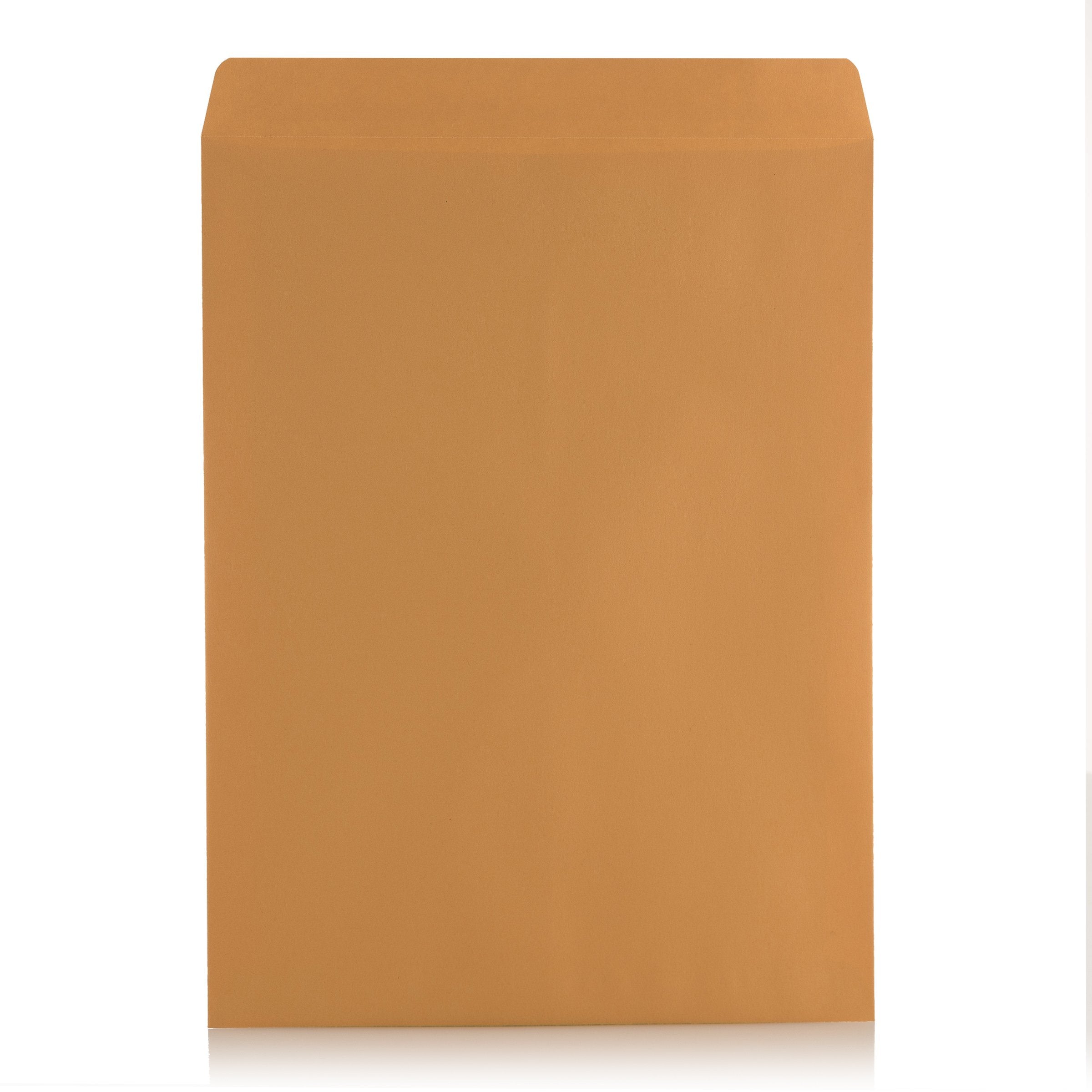 9 X 12 Self-Seal Brown Kraft Catalog Envelopes - 28lb - 100 Count (38300)