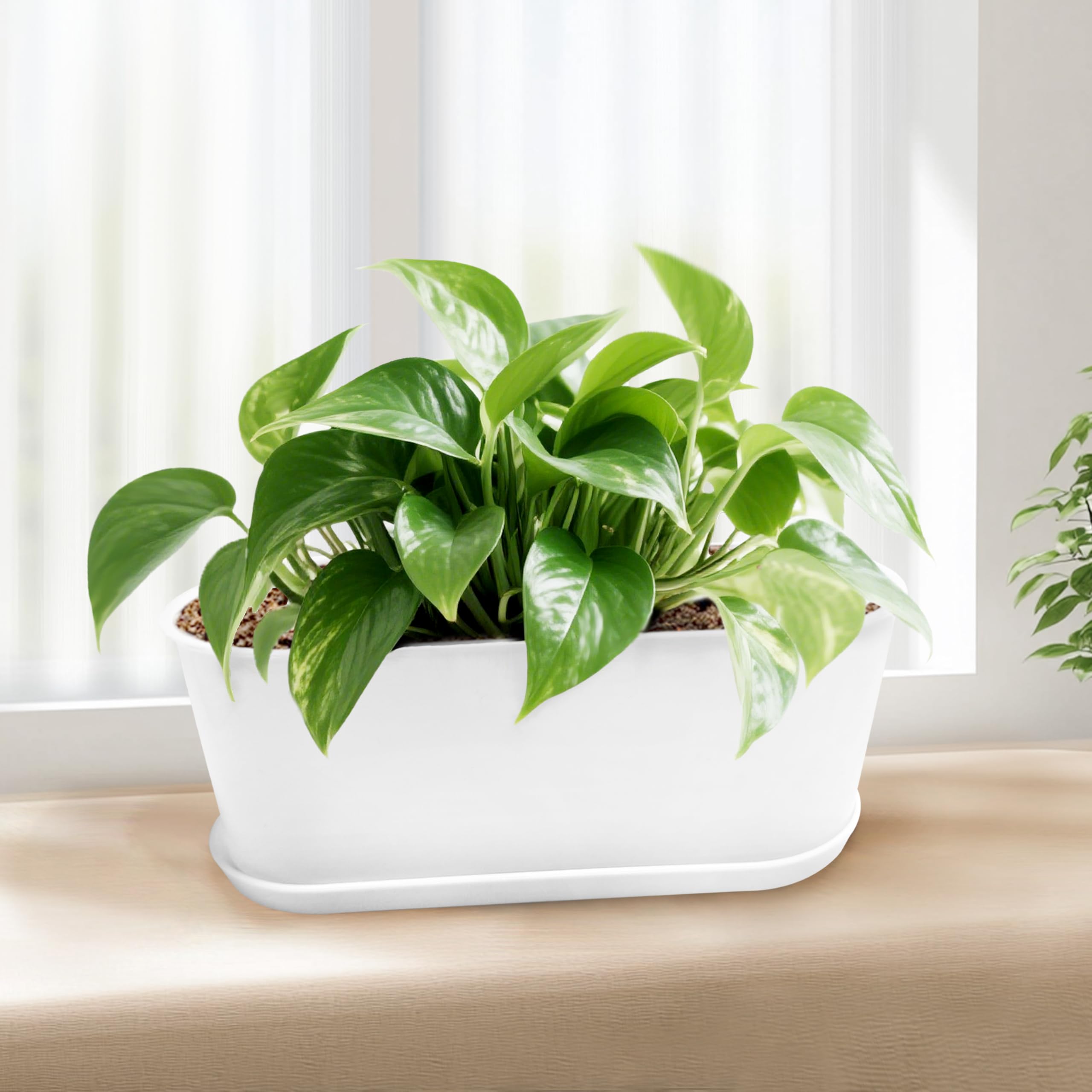 5 Set 8.5x3.5 Inch Plant pots, Rounded Rectangle planters with Multiple Drainage Holes and Trays, Window Box Planter for Indoor Windowsill, Balcony etc.