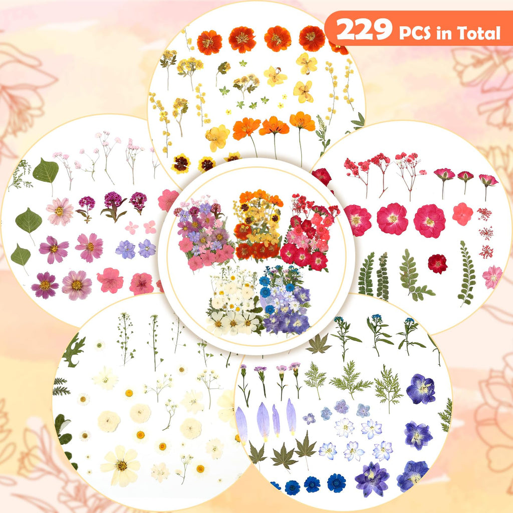 269 PCS Dried Pressed Flowers for Resin Crafts, Bulk Real Nature Pressed Flowers Set Dried Wildflowers Leaves with Butterfly Stickers Tweezers for Jewelry Making DIY Scrapbook Floral Frame Decors