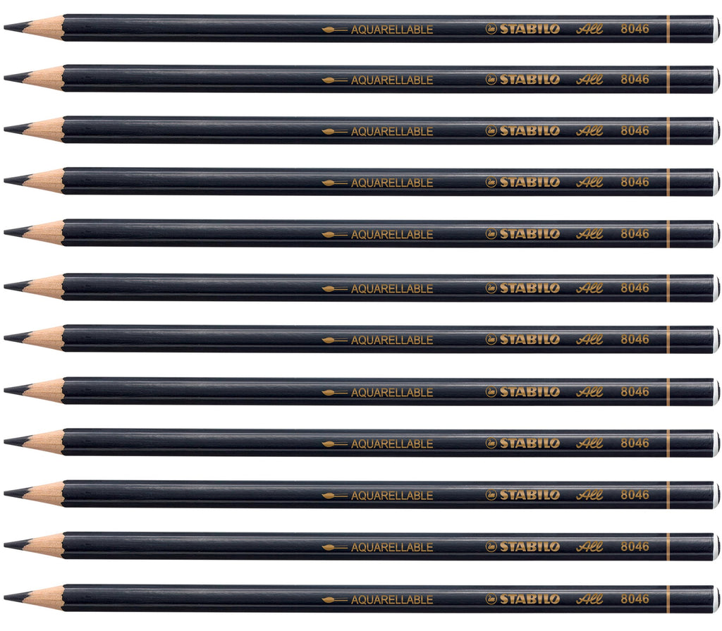 Stabilo 8406 All Coloured Pencil Crayons for Almost All Surfaces, 3.3 mm, Black, Pack of 12