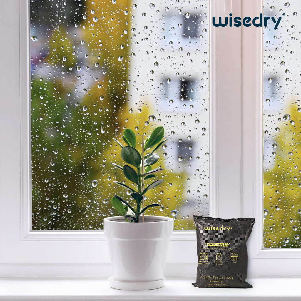 wisedry 2 x 500 Gram [2.2 lbs] Rechargeable Silica Gel Car Dehumidifier, Microwave Fast Reactivated Desiccant Packets Large for Safes Closet Basement Garage Storage Moisture Absorber Bag Reusable