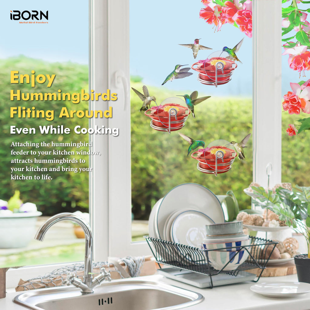iBorn Circular Hanging Hummingbird feeders for Outdoors 3PCS 3OZ Mini Hummingbird Feeder Humming Bird Feeder, Silicone Feeding Ports, Bee-Proof, 2025 New