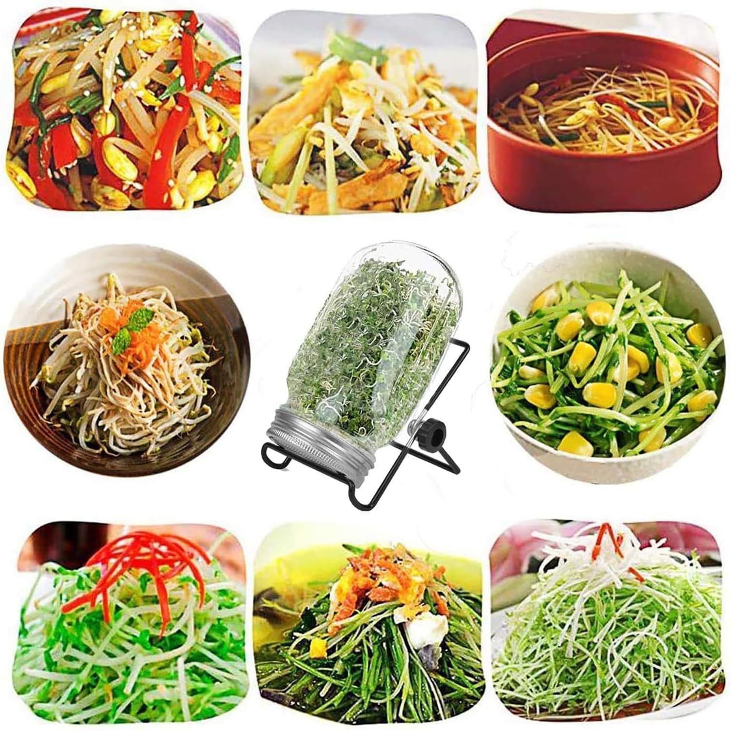 CAVLA 4 Pcs Sprouting Jar Lids with 4 Pcs Sprouting Brackets, Stainless Steel Mason Jar Lids Bean Sprout Making Tool, Germination Filter Lid Sprouting Stands Kit for Seeds Beans Cultivation