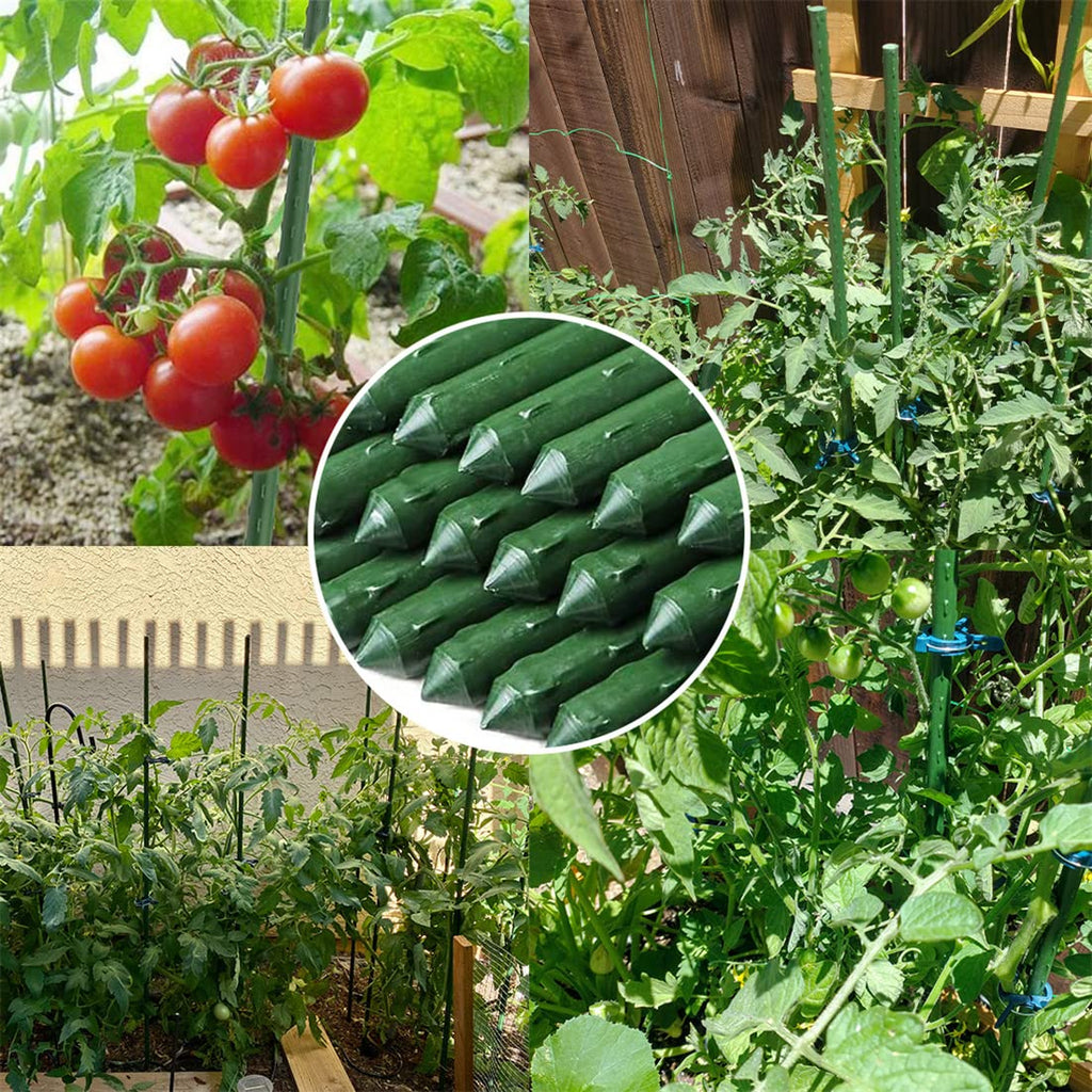 Garden Stakes, Plant Support Sticks Sturdy Gardening Plant Support Stake 20PCS Plastic Coated Steel Core Plant Sticks with 5PCS Connector for Climbing Plants Beans and Shrubs(41CM Length)