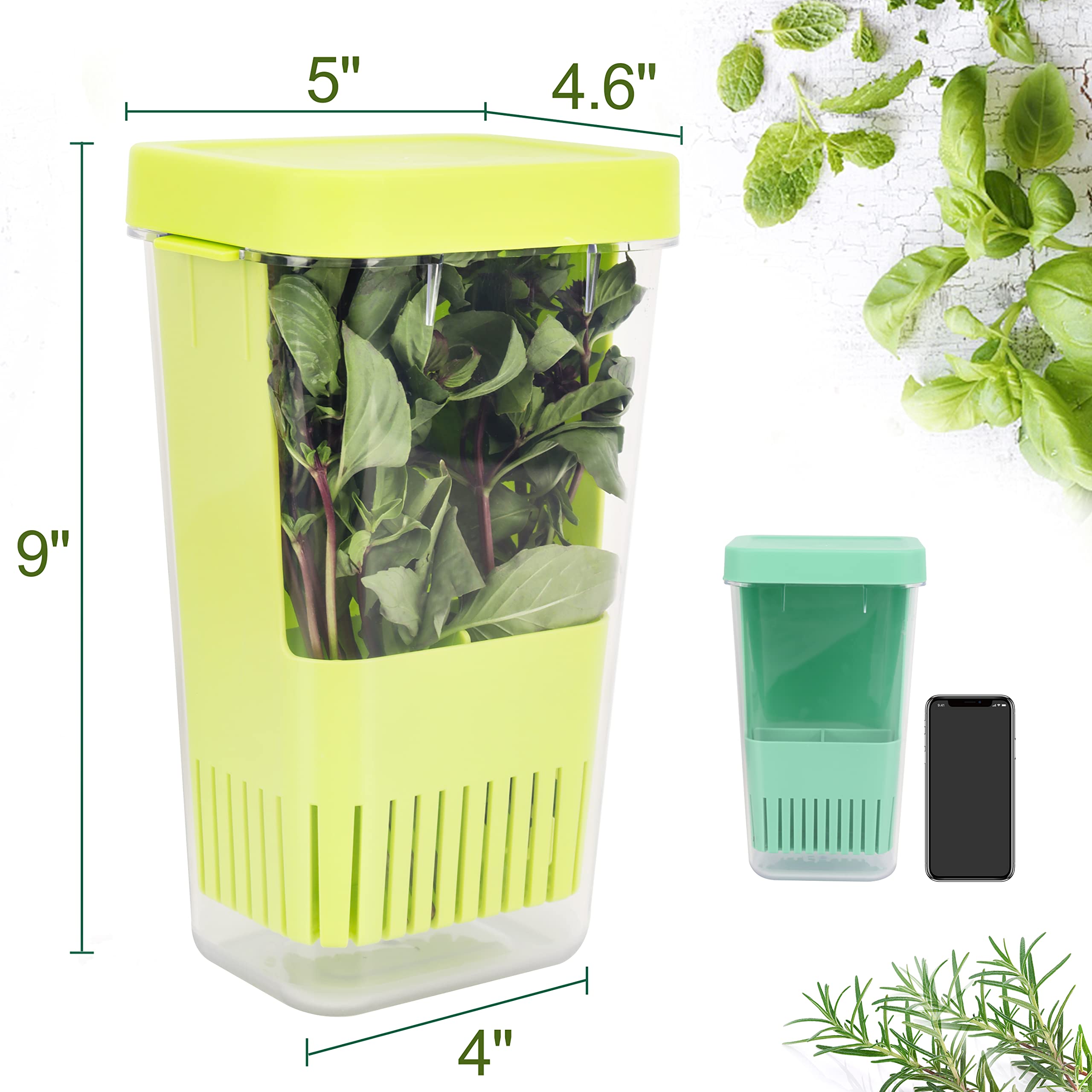 LUVCOSY 2 Pack Herb Keeper, BPA-Free Plastic Herb Saver with Inner Basket, Storage Container for Cilantro, Mint, Parsley, and Asparagus, Keeps Food Fresh for 3 Times Longer (Green & Blue)